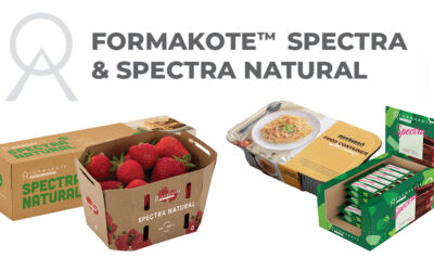 Packaging Boards Built for Performance and Impact