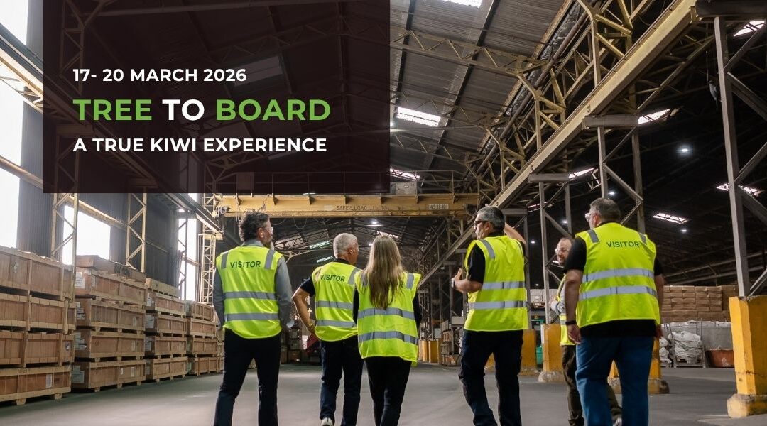 Understanding the Journey Behind High-Performance Paperboard